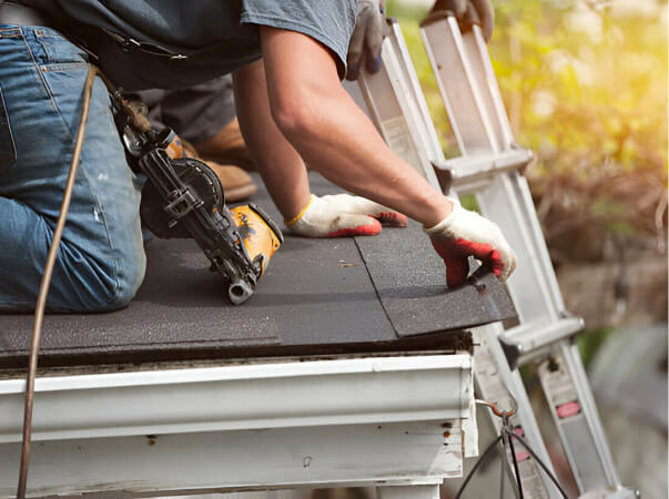 Commercial Metal Roof